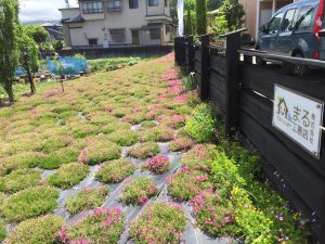 芝桜終了。見学会のご案内。雨樋について。