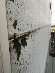 コラボ。