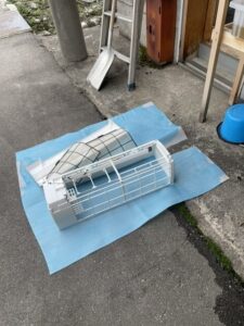 お寿司おごってくれて、ありがとう。じゃぁねー。